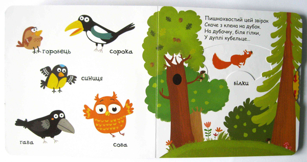 Паперова книга «Тварини в лісі», автор Василь Федієнко - фото №1