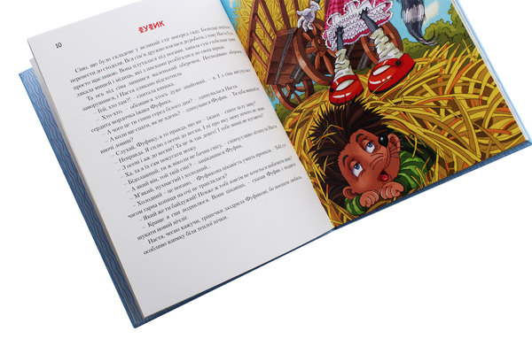 Паперова книга «Мешканці старого двору», автор Роман Росіцький - фото №1