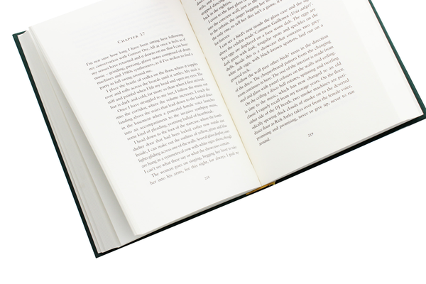 Бумажная книга «I Will Miss You Tomorrow», автор Хейне Баккейд - фото №1