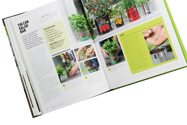Бумажная книга «Big Ideas, Small Spaces. Creative ideas and 30 projects for balconies, roof gardens, windowsills and terraces», авторов Кей Магуайр, Тони Вудс - фото №1