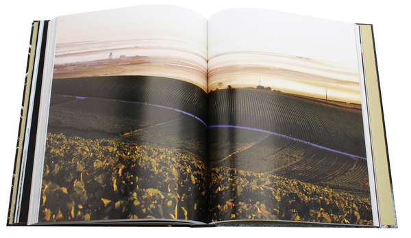 Бумажная книга «Champagne: The Essential Guide To The Wines, Producers And Terriors Of The Iconic Region», автор Питер Лим - фото №1
