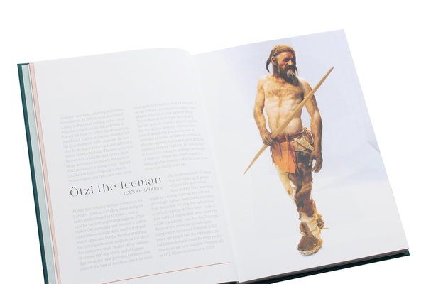 Бумажная книга «The Fashion Chronicles. The Style Stories of History's Best Dressed », автор Амбер Бутчарт - фото №1