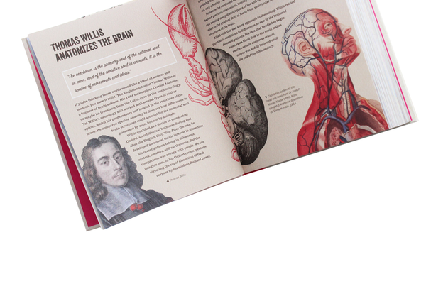 Паперова книга «Cracking Neuroscience», автор Джон Терні - фото №1