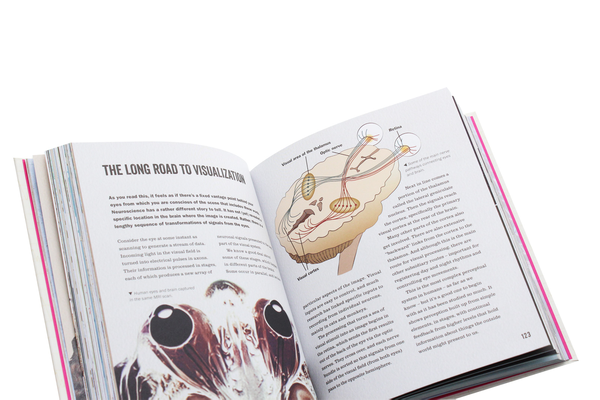 Паперова книга «Cracking Neuroscience», автор Джон Терні - фото №1
