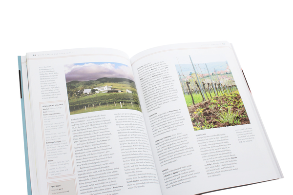 Бумажная книга «Essential Winetasting», автор Майкл Шустер - фото №1