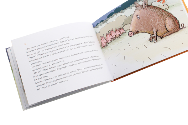 Бумажная книга «Чужий у лісі», автор Данута Парляк - фото №1