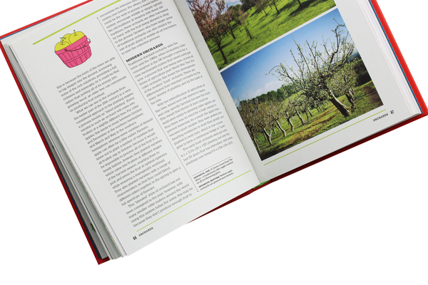 Паперова книга «Ciderology: From History and Heritage to the Craft Cider Revolution», автор Гейб Кук - фото №1
