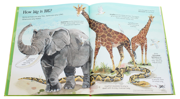 Бумажная книга «The Usborn Big Book of Animals», автор Хазел Мэскелл - фото №1