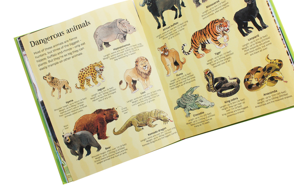 Бумажная книга «The Usborn Big Book of Animals», автор Хазел Мэскелл - фото №1