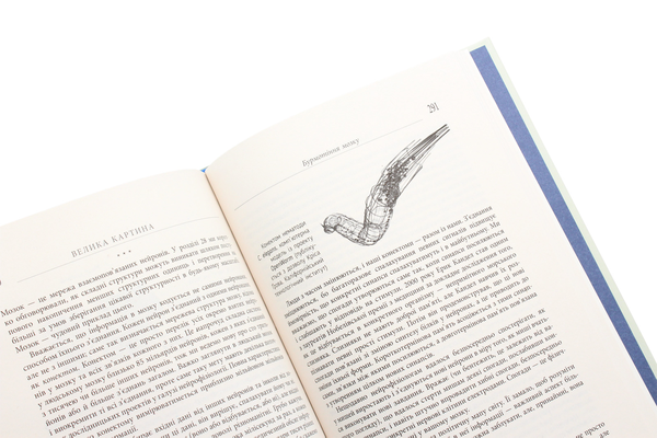 Бумажная книга «Велика картина», автор Шон Кэрролл - фото №1