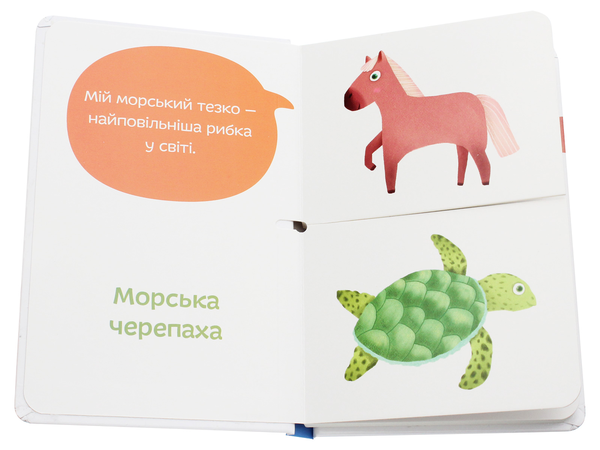 Бумажная книга «Морські тезки», автор Александра Орлова - фото №1