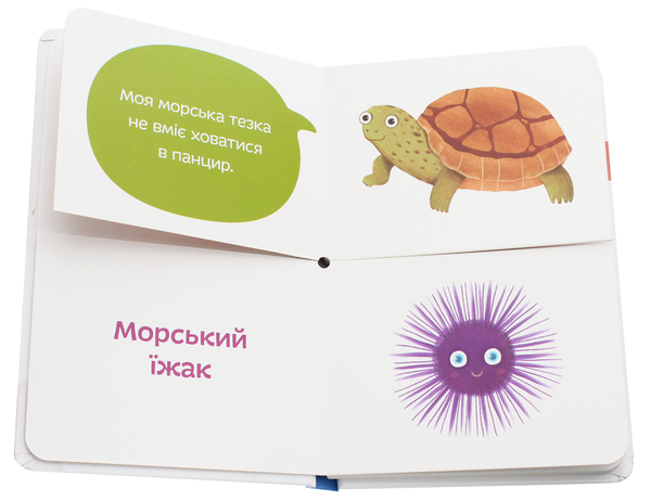 Бумажная книга «Морські тезки», автор Александра Орлова - фото №1