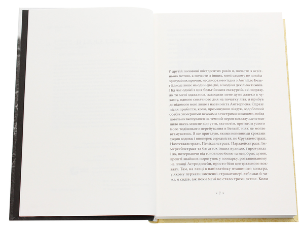 Паперова книга «Аустерліц», автор Вінфрід Ґеорґ Зебальд - фото №1