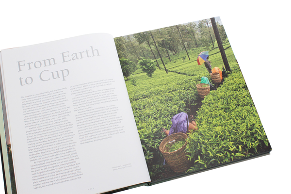 Бумажная книга «The Life of Tea: A Journey to the World’s Finest Teas», автор Майкл Фриман - фото №1