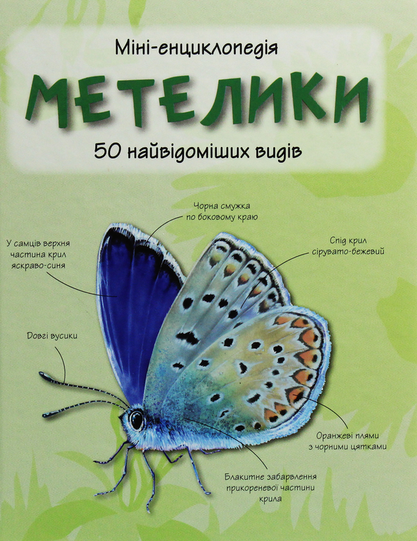Книга Метелики. 50 найвідоміших видів: Міні-енциклопедія