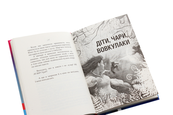 Паперова книга «Лузер», автор Наталія Смирнова - фото №1