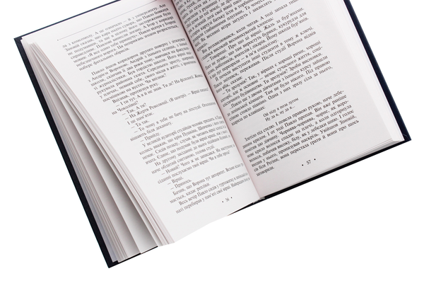 Паперова книга «Дорога в безвість», автор Юрій Мушкетик - фото №1