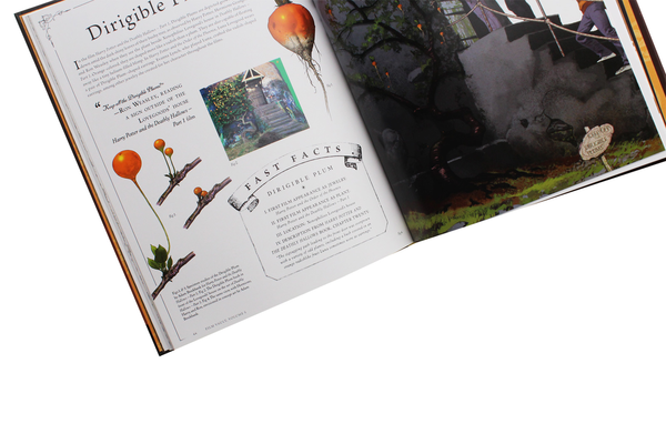 Бумажная книга «Harry Potter. The Film Vault. Volume 5. Creature Companions, Plants, and Shape-Shifters» - фото №1