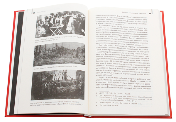 Паперова книга «Два перевороти. 1918», автор Павло Гай-Нижник - фото №1