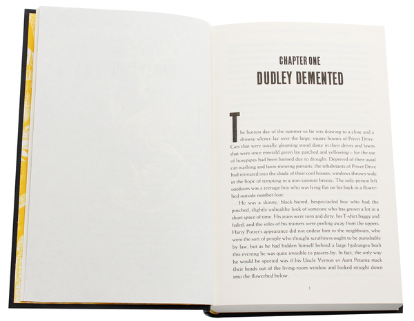 Бумажная книга «Harry Potter and the Order of the Phoenix», автор Джоан Роулинг - фото №1