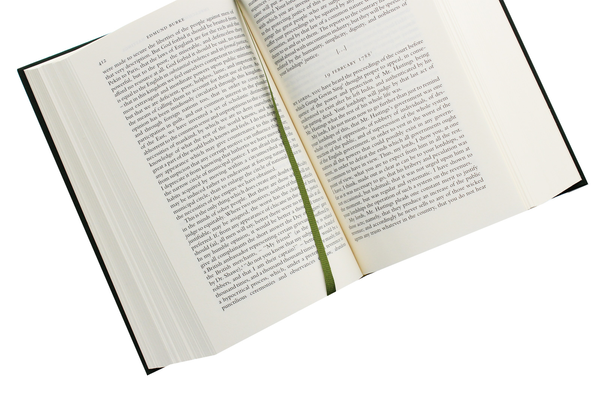 Бумажная книга «Reflections on The Revolution in France And Other Writings», автор Эдмунд Берк - фото №1