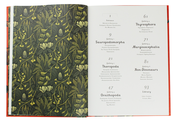 Паперова книга «Dinosaurium», автор Лілі Мюррей - фото №1