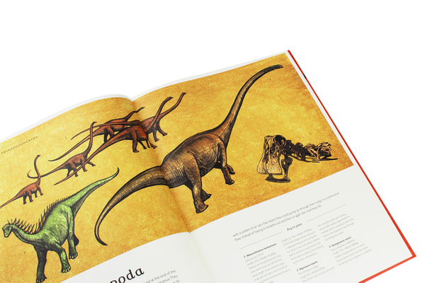 Паперова книга «Dinosaurium», автор Лілі Мюррей - фото №1