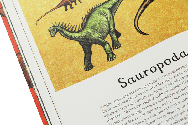 Паперова книга «Dinosaurium», автор Лілі Мюррей - фото №1