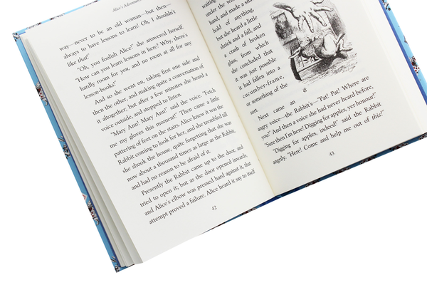 Бумажная книга «Alice's Adventures in Wonderland», автор Льюис Кэрролл - фото №1