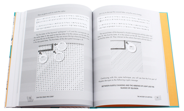 Паперова книга «Can You Crack the Code?», автор Елла Шварц - фото №1