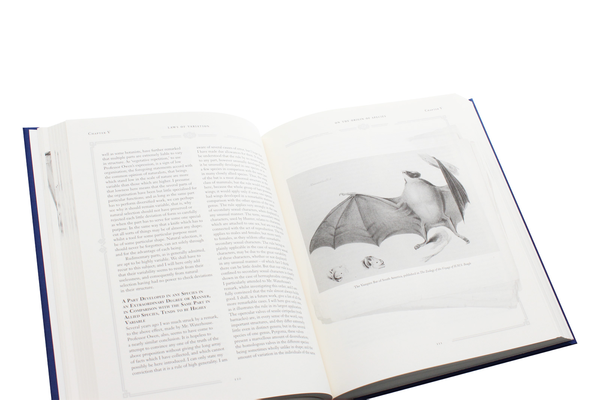 Бумажная книга «On the Origin of Species», автор Чарльз Роберт Дарвин - фото №1