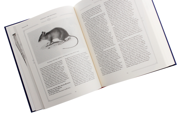 Бумажная книга «On the Origin of Species», автор Чарльз Роберт Дарвин - фото №1