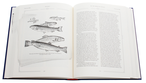 Бумажная книга «On the Origin of Species», автор Чарльз Роберт Дарвин - фото №1