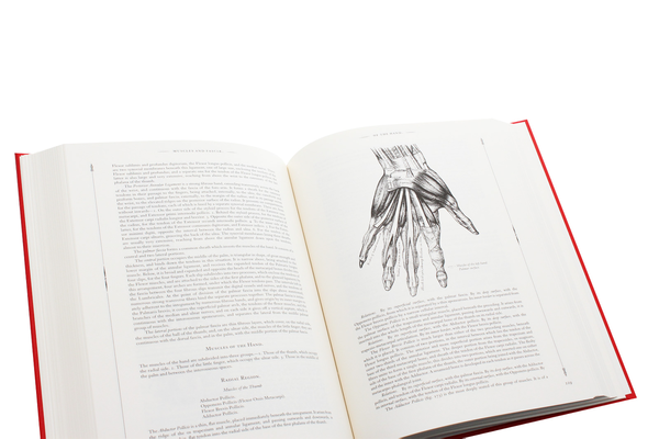 Бумажная книга «Grays Anatomy» - фото №1
