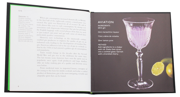 Паперова книга «Gin. A Short History», автор Мозес Дженкінз - фото №1
