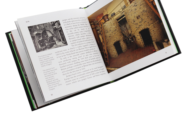 Паперова книга «Gin. A Short History», автор Мозес Дженкінз - фото №1