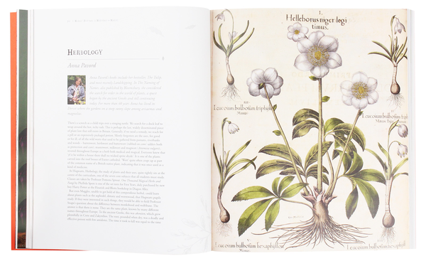Бумажная книга «Harry Potter. A History of Magic. The Book of the Exhibition» - фото №1