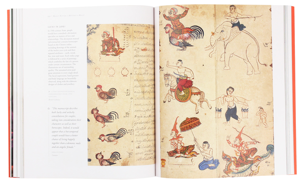 Бумажная книга «Harry Potter. A History of Magic. The Book of the Exhibition» - фото №1