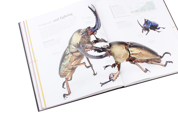 Бумажная книга «The Science of Animals. Inside Their Secret World», автор Крис Пэкхэм - фото №1