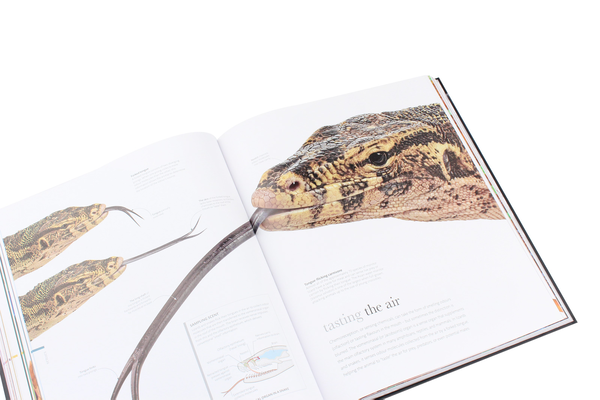 Бумажная книга «The Science of Animals. Inside Their Secret World», автор Крис Пэкхэм - фото №1