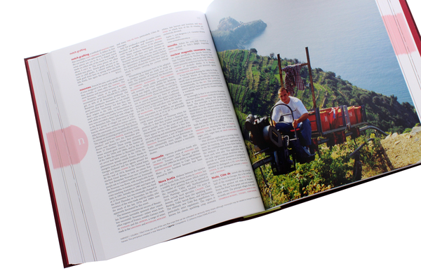 Бумажная книга «The Oxford Companion to Wine», авторов Дженсис Робинсон, Джулия Хардинг - фото №1