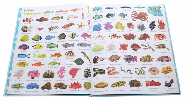 Бумажная книга «1000 Things Under the Sea», автор Джессика Гринвелл - фото №1