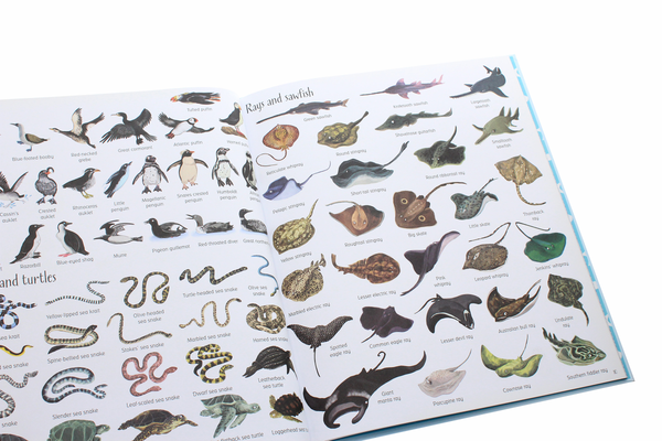 Бумажная книга «1000 Things Under the Sea», автор Джессика Гринвелл - фото №1