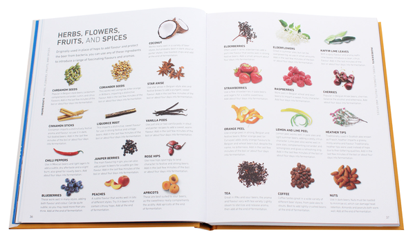 Паперова книга «Home Brew Beer. Master the Art of Brewing Your Own Beer», автор Грег Х'юз - фото №1