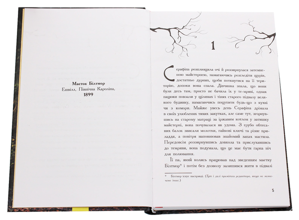 Паперова книга «Серафіна і Чорна мантія. Книга 1», автор Роберт Бітті - фото №1