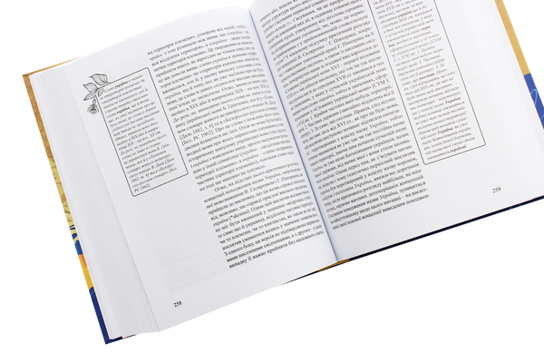 Бумажная книга «Добірка студій професора Михайла Худаша. Історична ономастика, мовні портрети, спогади», автор Ирина Фарион - фото №1
