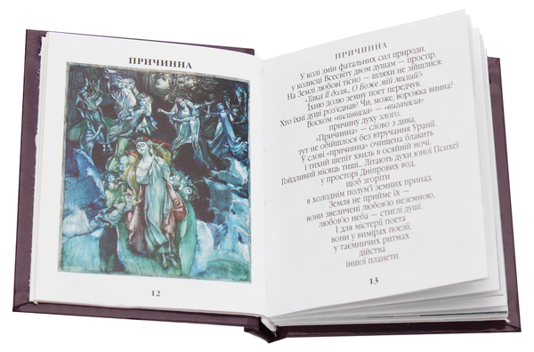 Паперова книга «Мій Шевченко», автор Микола Стороженко - фото №1