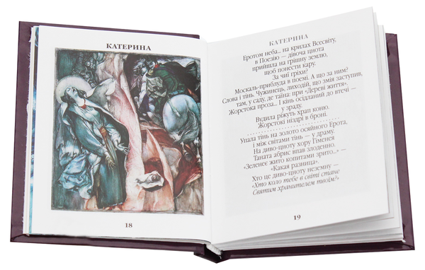 Паперова книга «Мій Шевченко», автор Микола Стороженко - фото №1