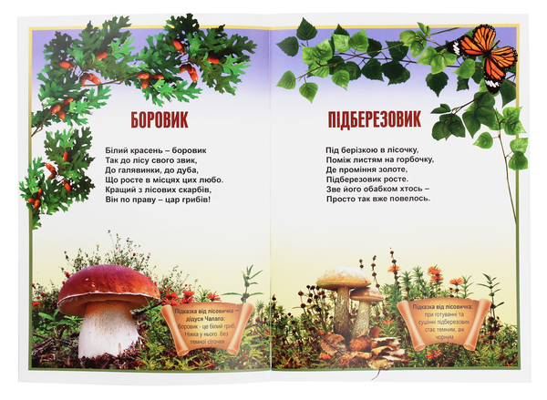 Паперова книга «В щедрім лісі виріс гриб!», автор Ніна Гаврилюк - фото №1