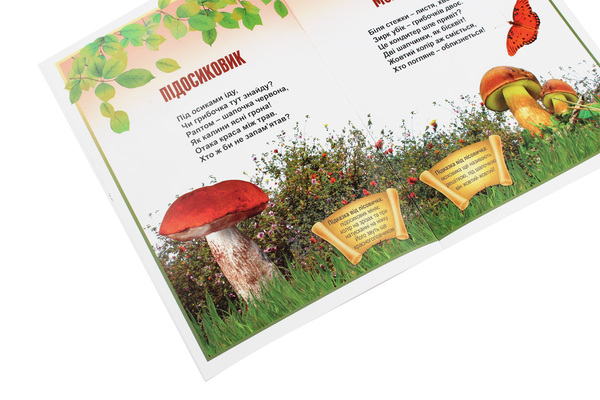 Паперова книга «В щедрім лісі виріс гриб!», автор Ніна Гаврилюк - фото №1
